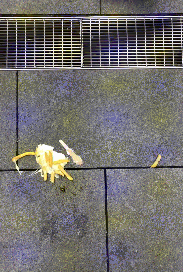 Persönlicher Internetauftritt