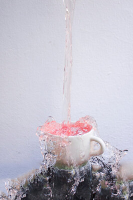 Persönlicher Internetauftritt